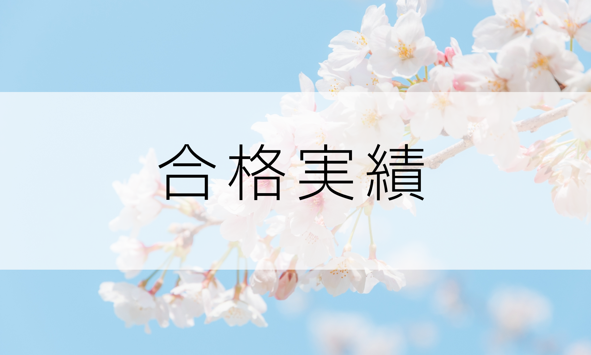 駿台ヨーロッパ 年度 合格実績 駿台海外校